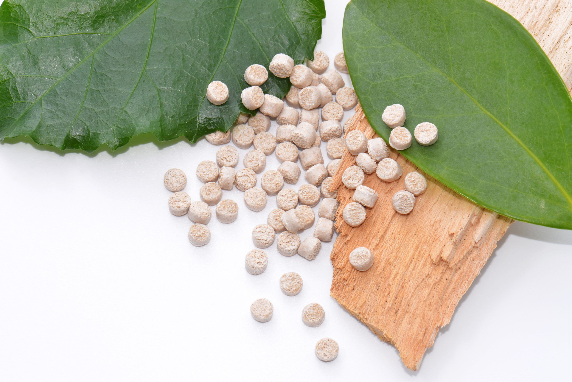Biopolymer with wood